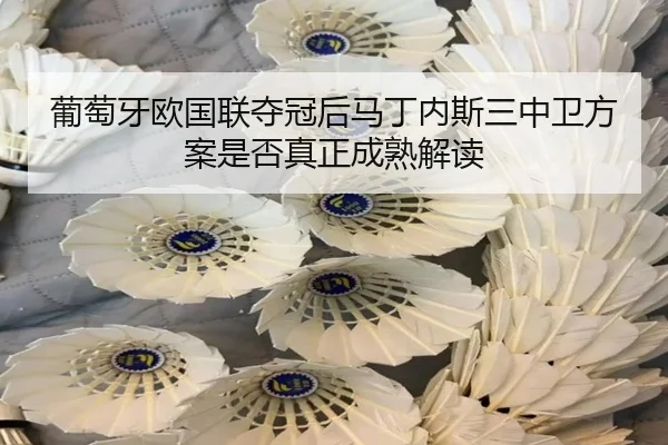 pu-tao-ya-ou-guo-lian-duo-guan-hou-ma-ding-nei-si-san-zhong-wei-fang-an-shi-fou-zhen-zheng-cheng-shu-jie-du-1-384.jpg